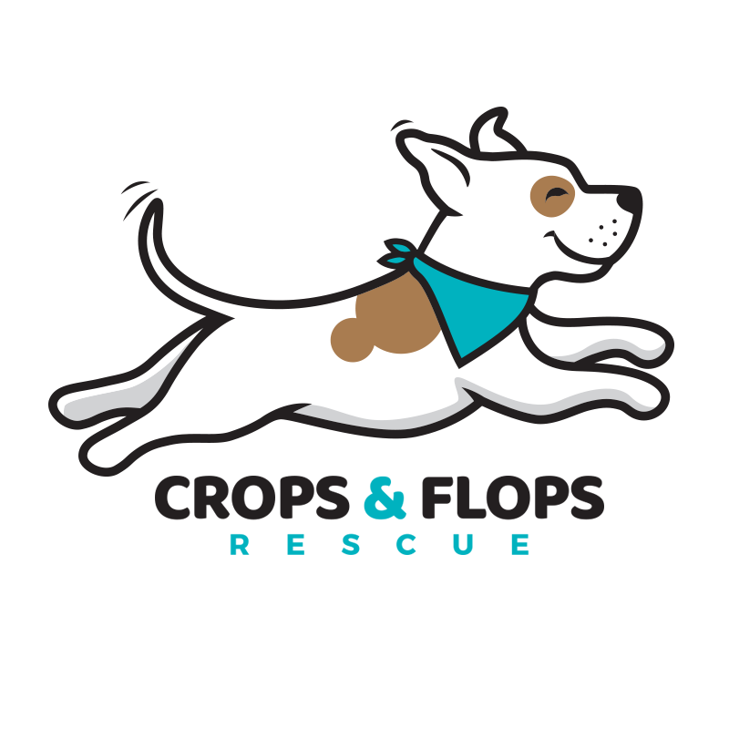 Crops and Flops Rescue - 2025 Calendar