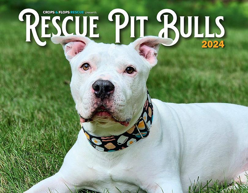 2024 Pit Bull Calendar cover