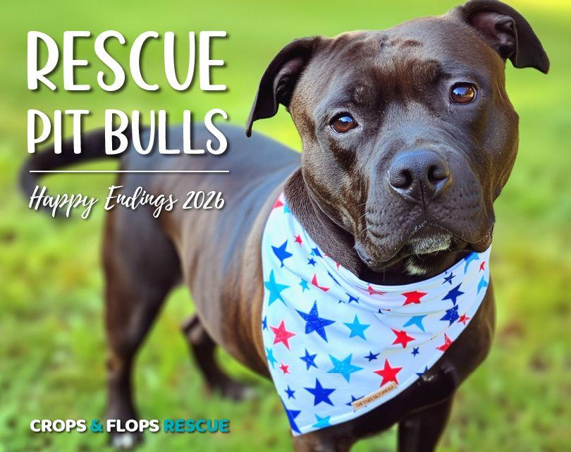 2026 Pit Bull Calendar cover